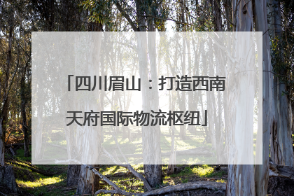 四川眉山：打造西南天府国际物流枢纽